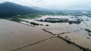 202108031606454713 0.jpg