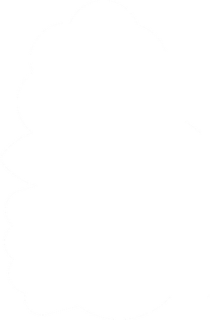 사회당 심볼 흰색.png