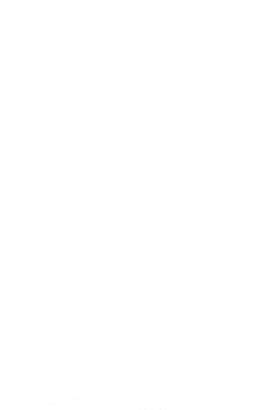 파일:사회당 심볼 흰색.png