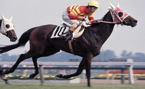 다이아몬드 마운틴 (한나라).jpg