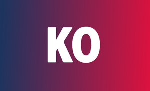 시민연합 당기.png