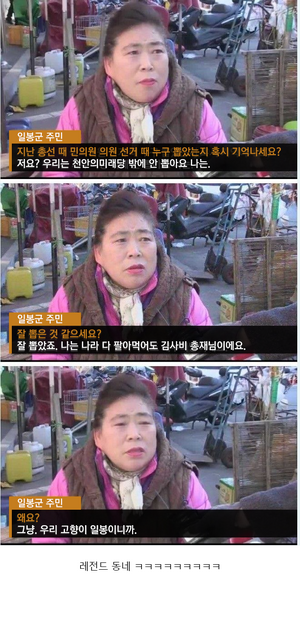 일봉 정치 요약.png
