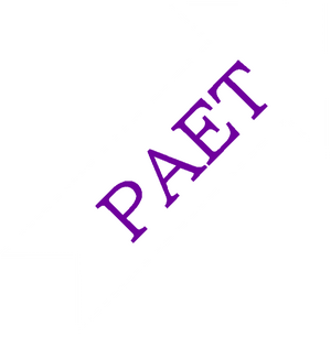 동튀르키스탄 애국회 백.png