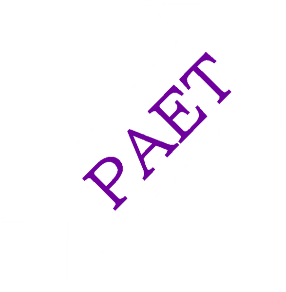 파일:동튀르키스탄 애국회 백.png