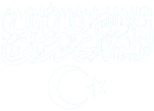 동튀르키스탄 이슬람 해방당 백.png