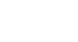 홍콩 자유당 백.png