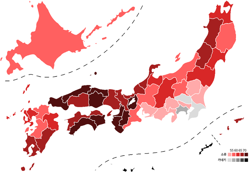 파일:2024년 개신당 대표 선거 지도.png