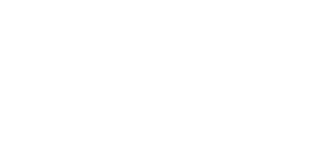 G사회민주당 화이트.png