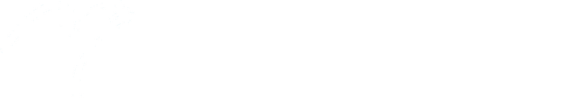 파일:새시대당 로고 반전.png