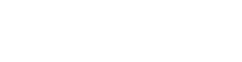 파일:누벨프랑스 우선 반전.png