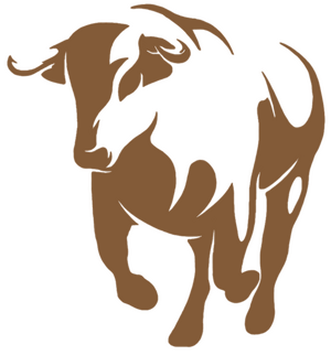 민주공화당 심볼 (나의 조국).png