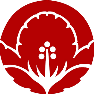 하와이 로고.png