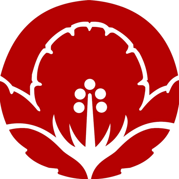 파일:하와이 로고.png